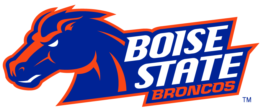 Boise State Broncos 2002-2012 Secondary Logo v19 DIY iron on transfer (heat transfer)
